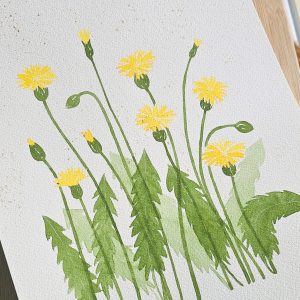 Aquarelle de plusieurs brins de pissenlits avec des projections d'aquarelle pailletée dorée, ajoutant une touche scintillante.