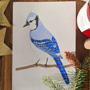 Aquarelle d'un geai bleu, vibrant de couleurs et de détails.