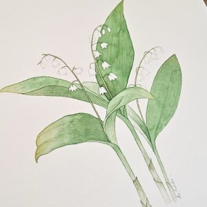 Aquarelle de trois brins de muguet, fleur printanière symbolisant le bonheur et le renouveau, peinte avec délicatesse sur papier d'art.